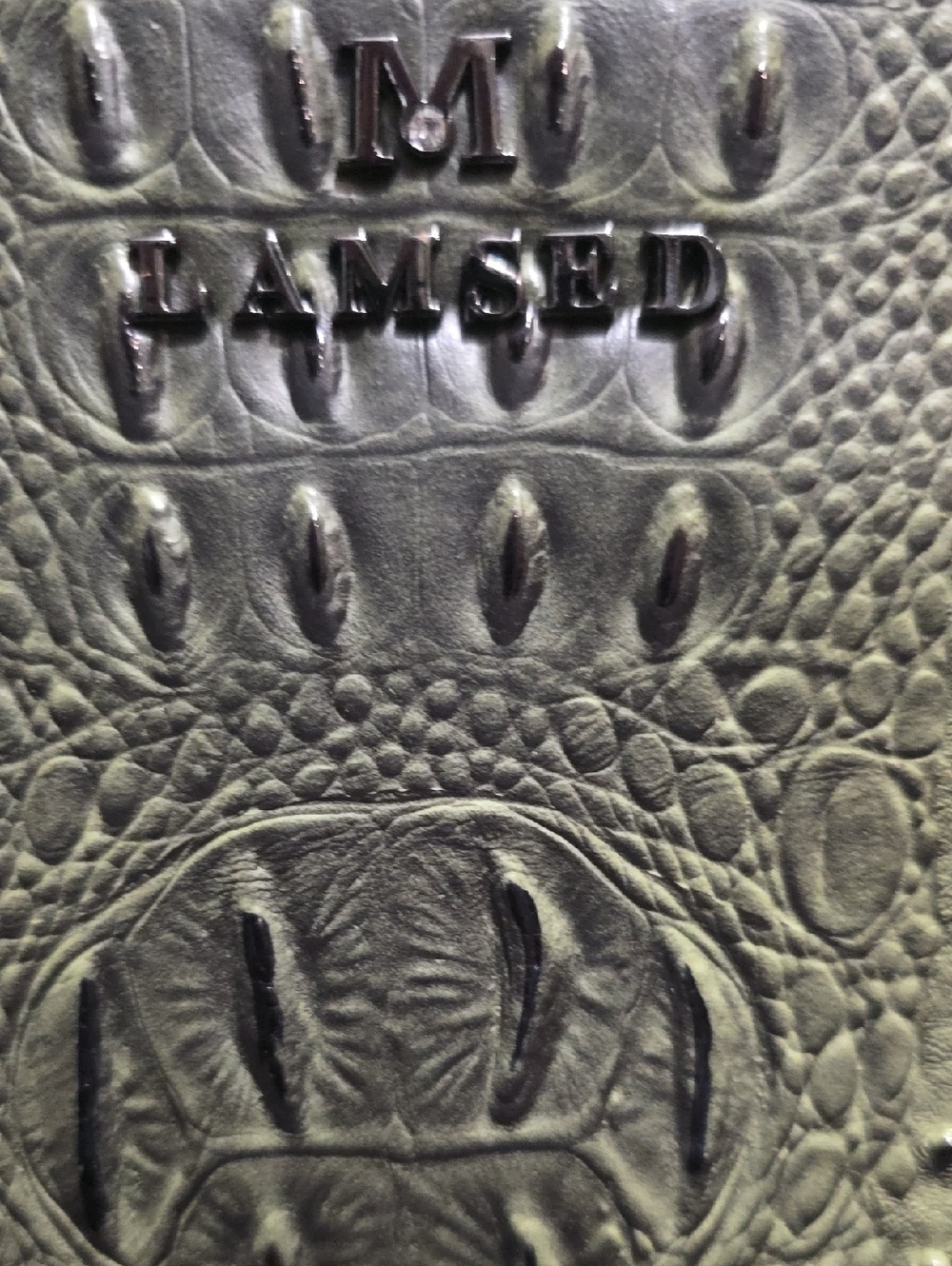 Olive Green Textured Crossbody Bag